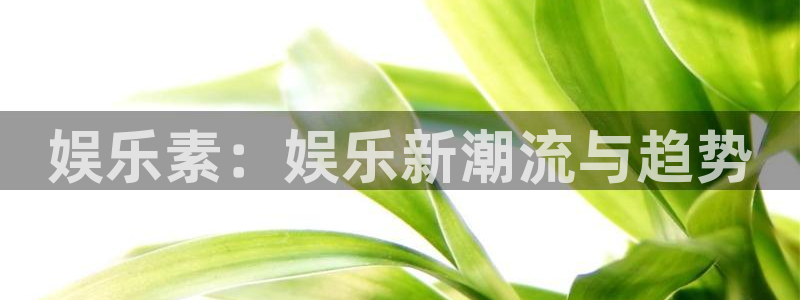 pg国际