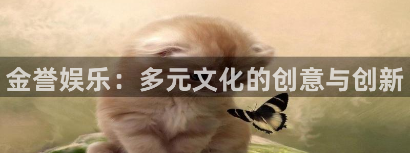 pg国际下载