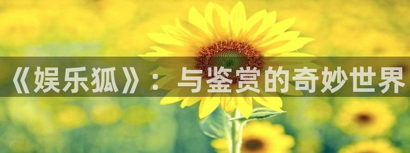 pg国际下载