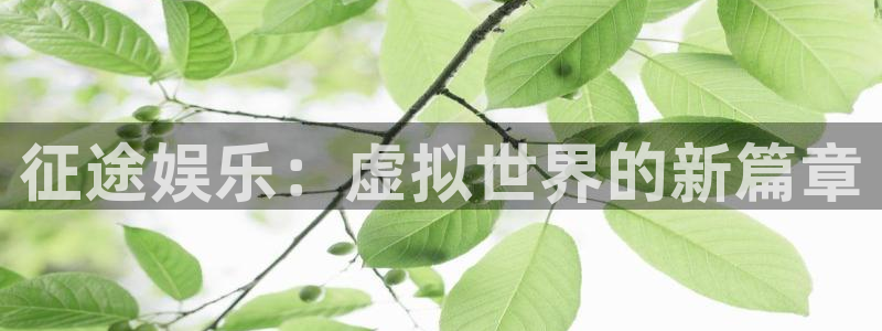 pg国际服