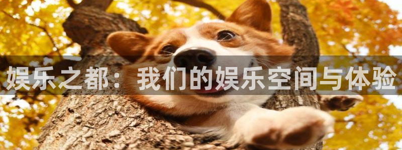 pg国际人