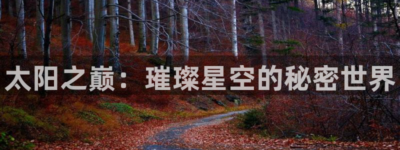 pg国际平台